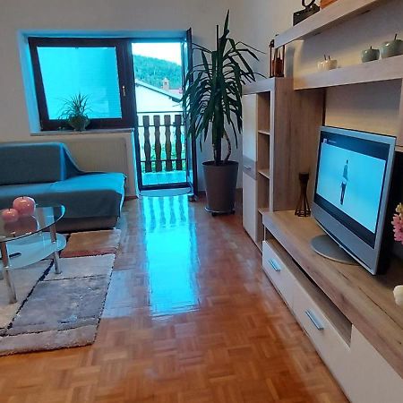 Apartma Pr' Ivani Miskorinovi Breginj Екстер'єр фото