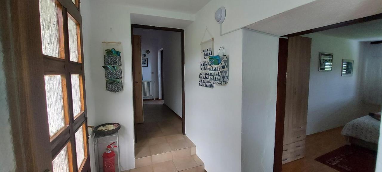 Apartma Pr' Ivani Miskorinovi Breginj Екстер'єр фото