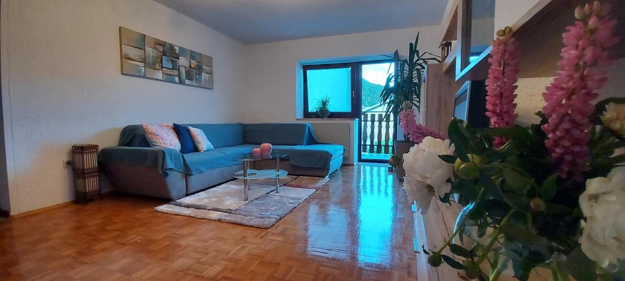 Apartma Pr' Ivani Miskorinovi Breginj Екстер'єр фото
