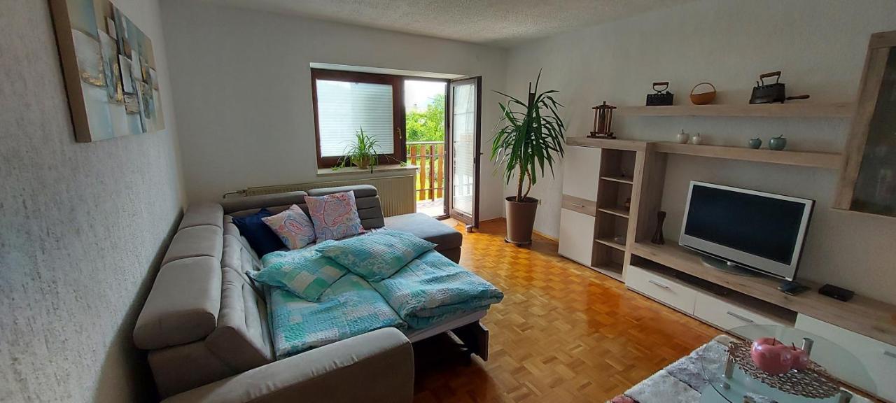 Apartma Pr' Ivani Miskorinovi Breginj Екстер'єр фото