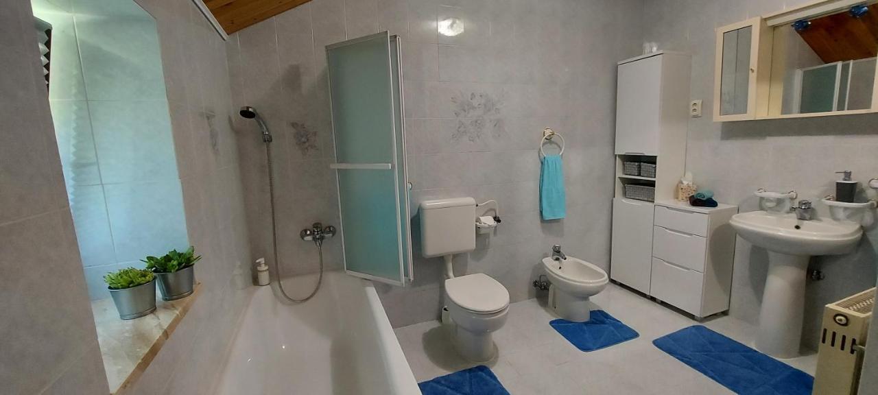 Apartma Pr' Ivani Miskorinovi Breginj Екстер'єр фото