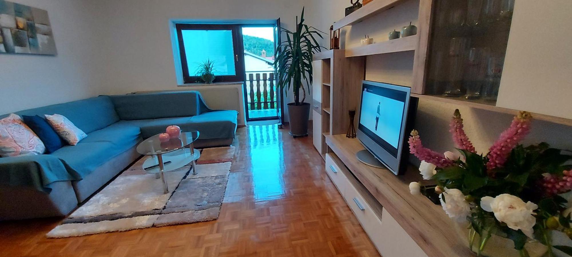 Apartma Pr' Ivani Miskorinovi Breginj Екстер'єр фото